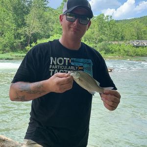 Meet your Posher, Charles